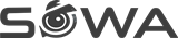 website logo